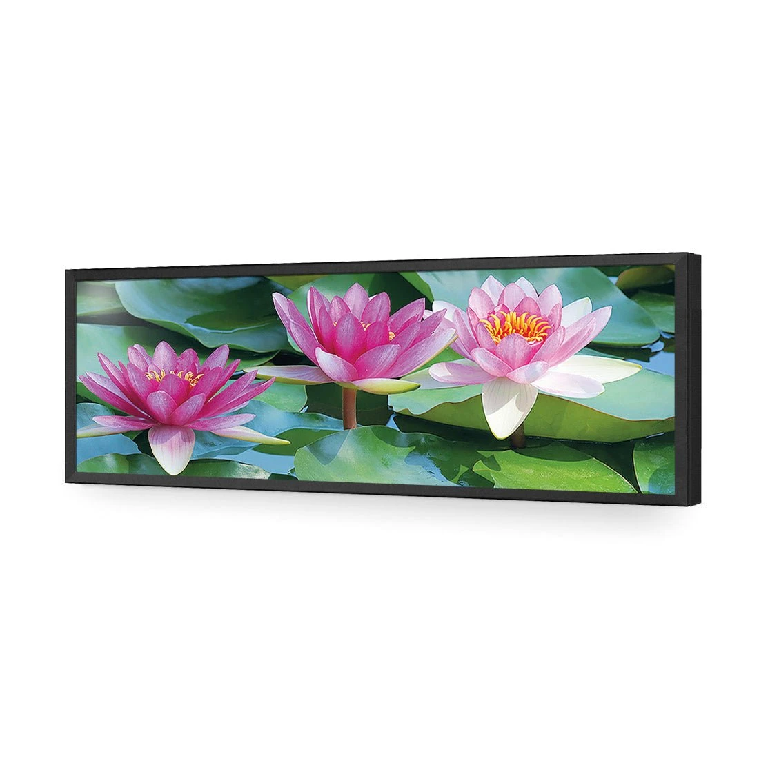 Lotus Dream (long) Lotus Dream (long) -WALL ART DESGIN SALE lotus dream long acrylic glass no border black frame 90x30cm 496541
