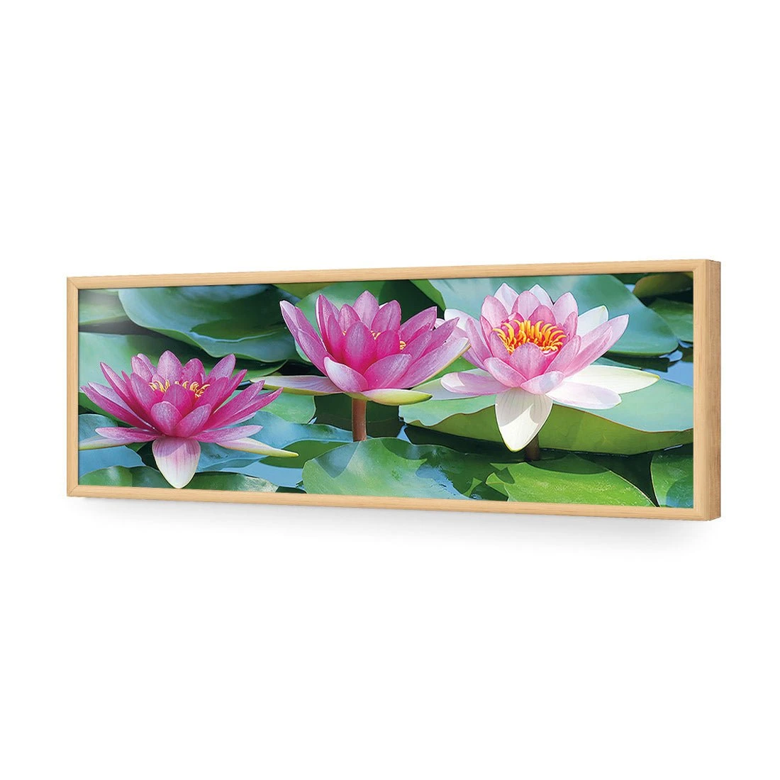 Lotus Dream (long) Lotus Dream (long) -WALL ART DESGIN SALE lotus dream long acrylic glass no border oak frame 90x30cm 852066