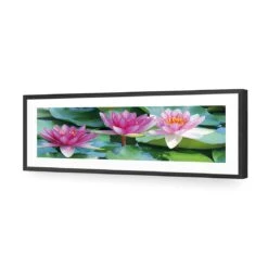 Lotus Dream (long) 10 Lotus Dream (long) -WALL ART DESGIN SALE lotus dream long acrylic glass with border black frame 90x30cm 146699