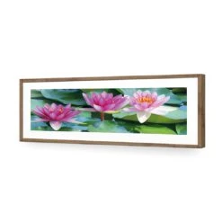 Lotus Dream (long) 13 Lotus Dream (long) -WALL ART DESGIN SALE lotus dream long acrylic glass with border natural frame 90x30cm 152306