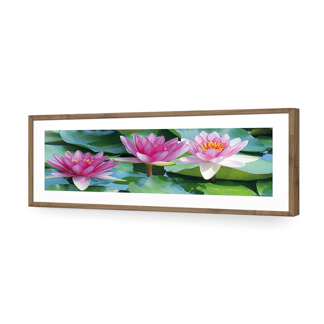 Lotus Dream (long) Lotus Dream (long) -WALL ART DESGIN SALE lotus dream long acrylic glass with border natural frame 90x30cm 152306