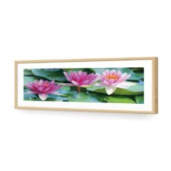 Lotus Dream (long) 12 Lotus Dream (long) -WALL ART DESGIN SALE lotus dream long acrylic glass with border oak frame 90x30cm 773080