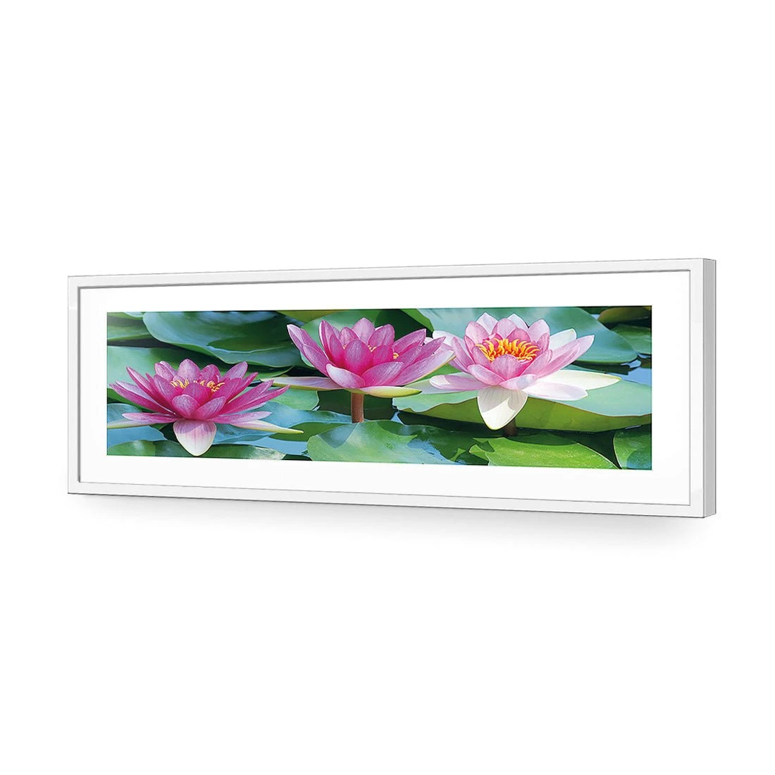 Lotus Dream (long) Lotus Dream (long) -WALL ART DESGIN SALE lotus dream long acrylic glass with border white frame 90x30cm 679974