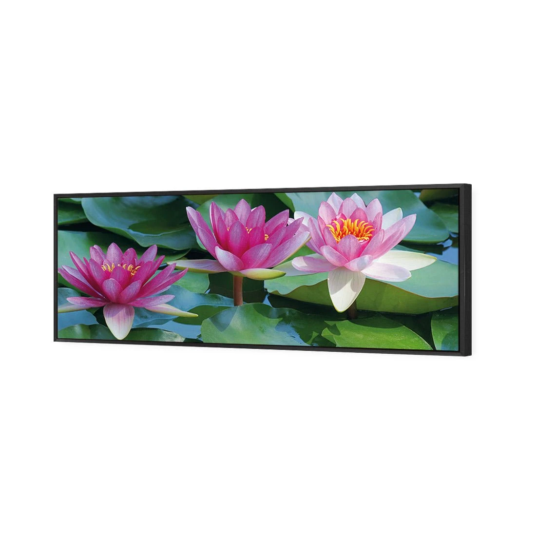 Lotus Dream (long) Lotus Dream (long) -WALL ART DESGIN SALE lotus dream long canvas black floating frame 60x20cm 924863