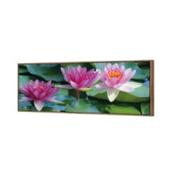 Lotus Dream (long) 7 Lotus Dream (long) -WALL ART DESGIN SALE lotus dream long canvas natural floating frame 60x20cm 671288