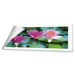 Lotus Dream (long) 8 Lotus Dream (long) -WALL ART DESGIN SALE lotus dream long canvas rolled canvas 60x20cm 655439