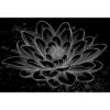 Lotus Sketched -WALL ART DESGIN SALE lotus sketched canvas stretched canvas 45x30cm 696151