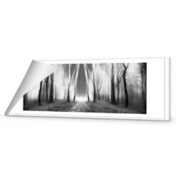 Luminous Forest, B&W Canvas Art 8 Luminous Forest, B&W Canvas Art -WALL ART DESGIN SALE luminous forest bw canvas art 60x20cm rolled canvas 796103