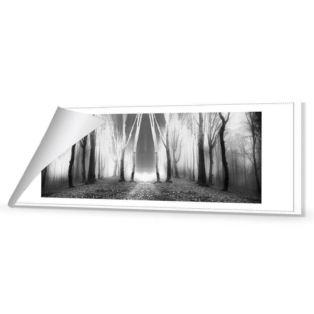 Luminous Forest, B&W Canvas Art Luminous Forest, B&W Canvas Art -WALL ART DESGIN SALE luminous forest bw canvas art 60x20cm rolled canvas 796103