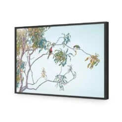 Lunch With Lorikeets 15 Lunch With Lorikeets -WALL ART DESGIN SALE lunch with lorikeets acrylic glass no border black frame 45x30cm 262063