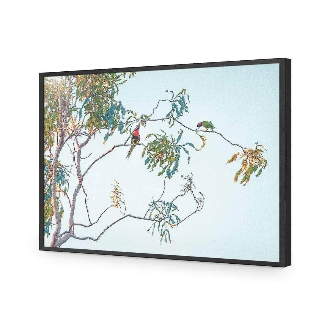 Lunch with Lorikeets Lunch With Lorikeets -WALL ART DESGIN SALE lunch with lorikeets acrylic glass no border black frame 45x30cm 262063