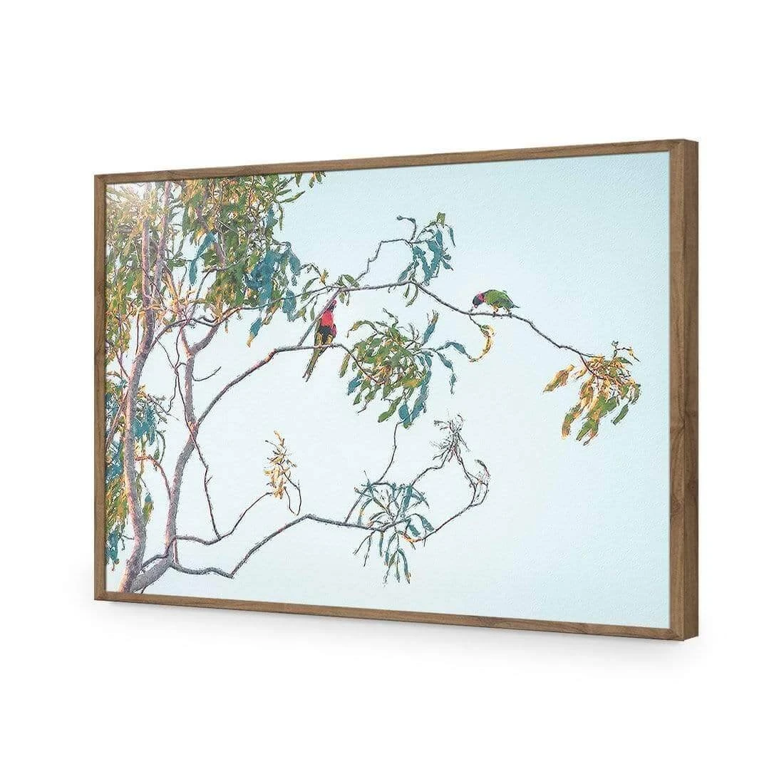 Lunch with Lorikeets Lunch With Lorikeets -WALL ART DESGIN SALE lunch with lorikeets acrylic glass no border natural frame 45x30cm 243709