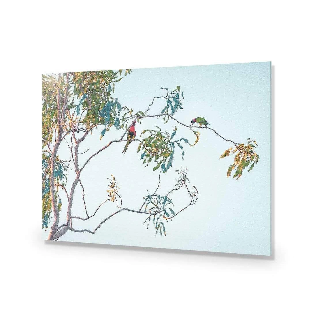 Lunch with Lorikeets Lunch With Lorikeets -WALL ART DESGIN SALE lunch with lorikeets acrylic glass no border no frame 45x30cm 881748