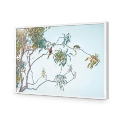 Lunch With Lorikeets 16 Lunch With Lorikeets -WALL ART DESGIN SALE lunch with lorikeets acrylic glass no border white frame 45x30cm 996832