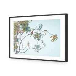 Lunch With Lorikeets 10 Lunch With Lorikeets -WALL ART DESGIN SALE lunch with lorikeets acrylic glass with border black frame 45x30cm 178281