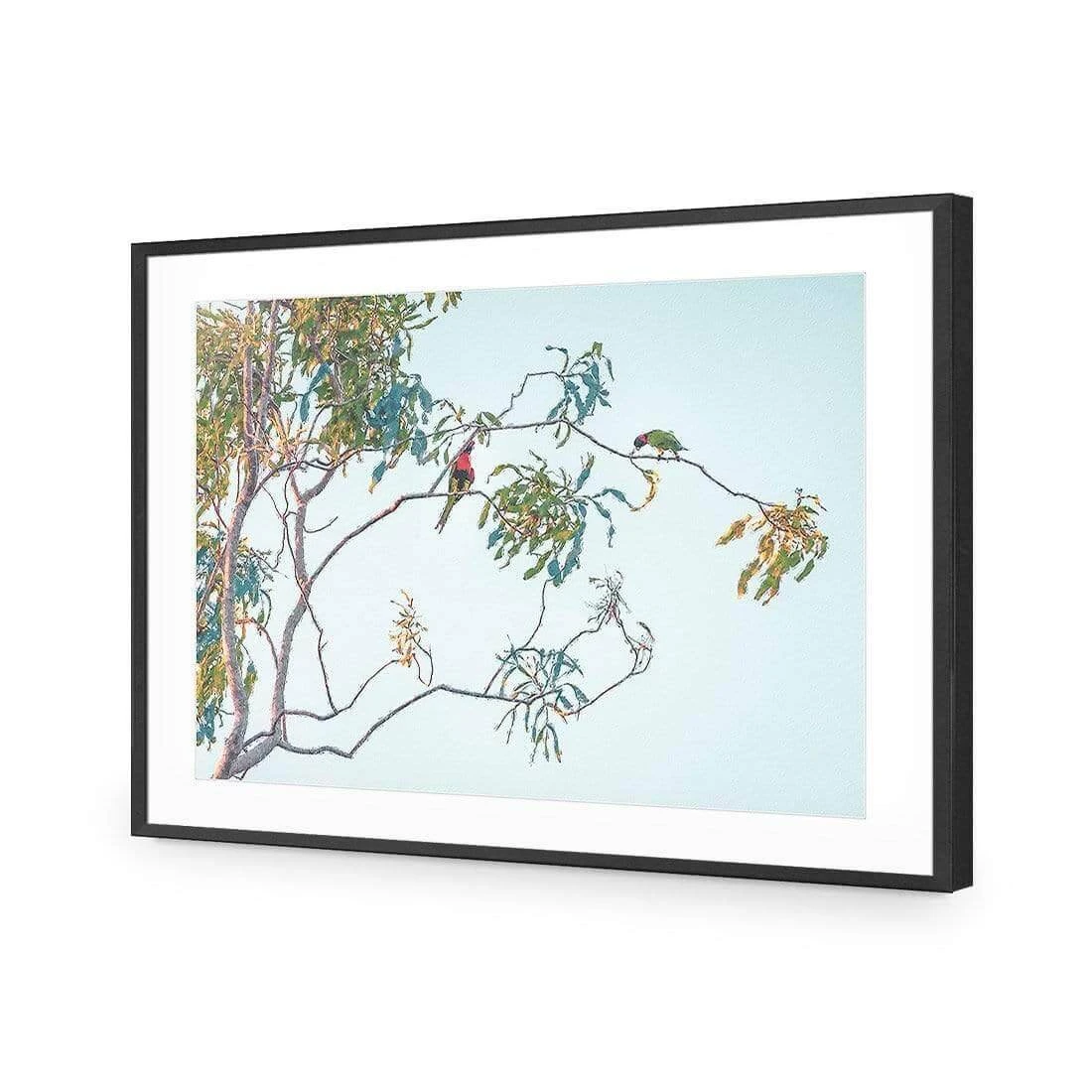 Lunch with Lorikeets Lunch With Lorikeets -WALL ART DESGIN SALE lunch with lorikeets acrylic glass with border black frame 45x30cm 178281