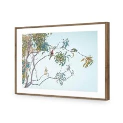 Lunch With Lorikeets 13 Lunch With Lorikeets -WALL ART DESGIN SALE lunch with lorikeets acrylic glass with border natural frame 45x30cm 837786