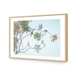 Lunch With Lorikeets 12 Lunch With Lorikeets -WALL ART DESGIN SALE lunch with lorikeets acrylic glass with border oak frame 45x30cm 746557