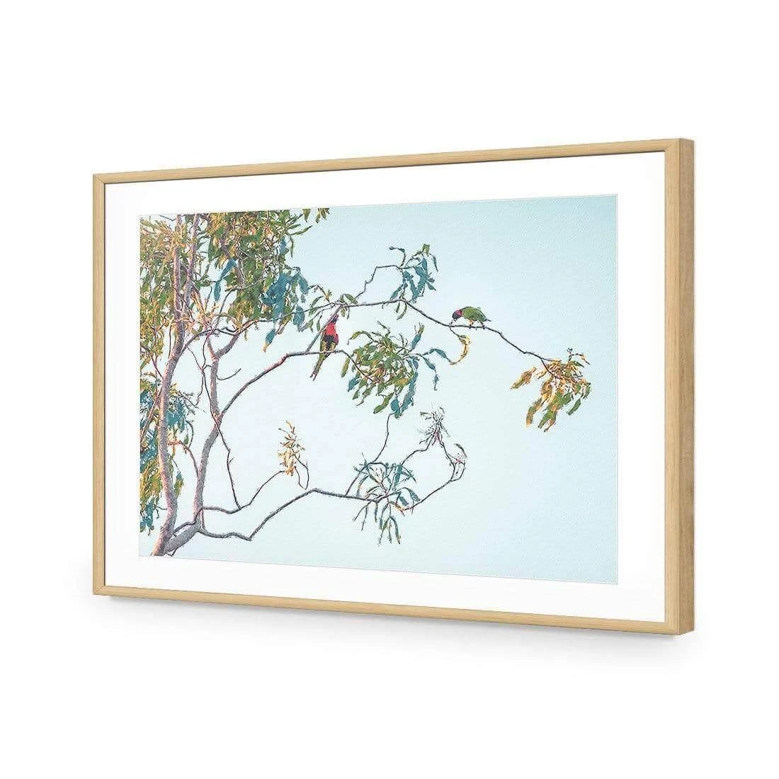 Lunch with Lorikeets Lunch With Lorikeets -WALL ART DESGIN SALE lunch with lorikeets acrylic glass with border oak frame 45x30cm 746557