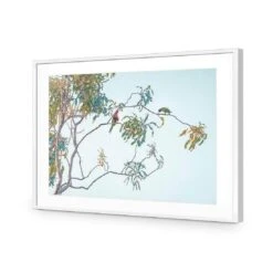 Lunch With Lorikeets 11 Lunch With Lorikeets -WALL ART DESGIN SALE lunch with lorikeets acrylic glass with border white frame 45x30cm 731087