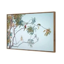 Lunch With Lorikeets 7 Lunch With Lorikeets -WALL ART DESGIN SALE lunch with lorikeets canvas natural floating frame 45x30cm 412767