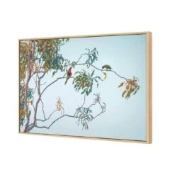 Lunch With Lorikeets 6 Lunch With Lorikeets -WALL ART DESGIN SALE lunch with lorikeets canvas oak floating frame 45x30cm 492298