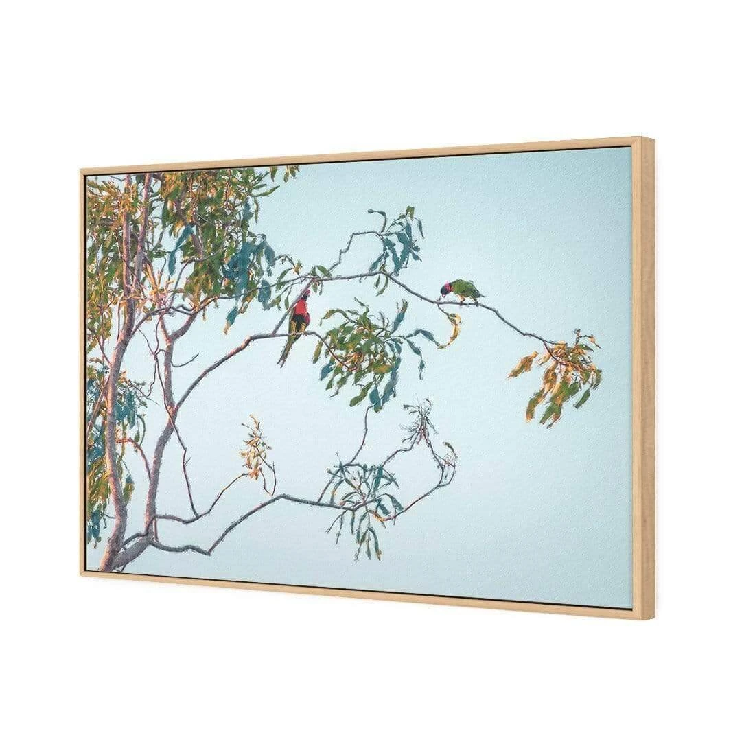 Lunch with Lorikeets Lunch With Lorikeets -WALL ART DESGIN SALE lunch with lorikeets canvas oak floating frame 45x30cm 492298