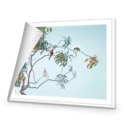 Lunch With Lorikeets 8 Lunch With Lorikeets -WALL ART DESGIN SALE lunch with lorikeets canvas rolled canvas 45x30cm 697625
