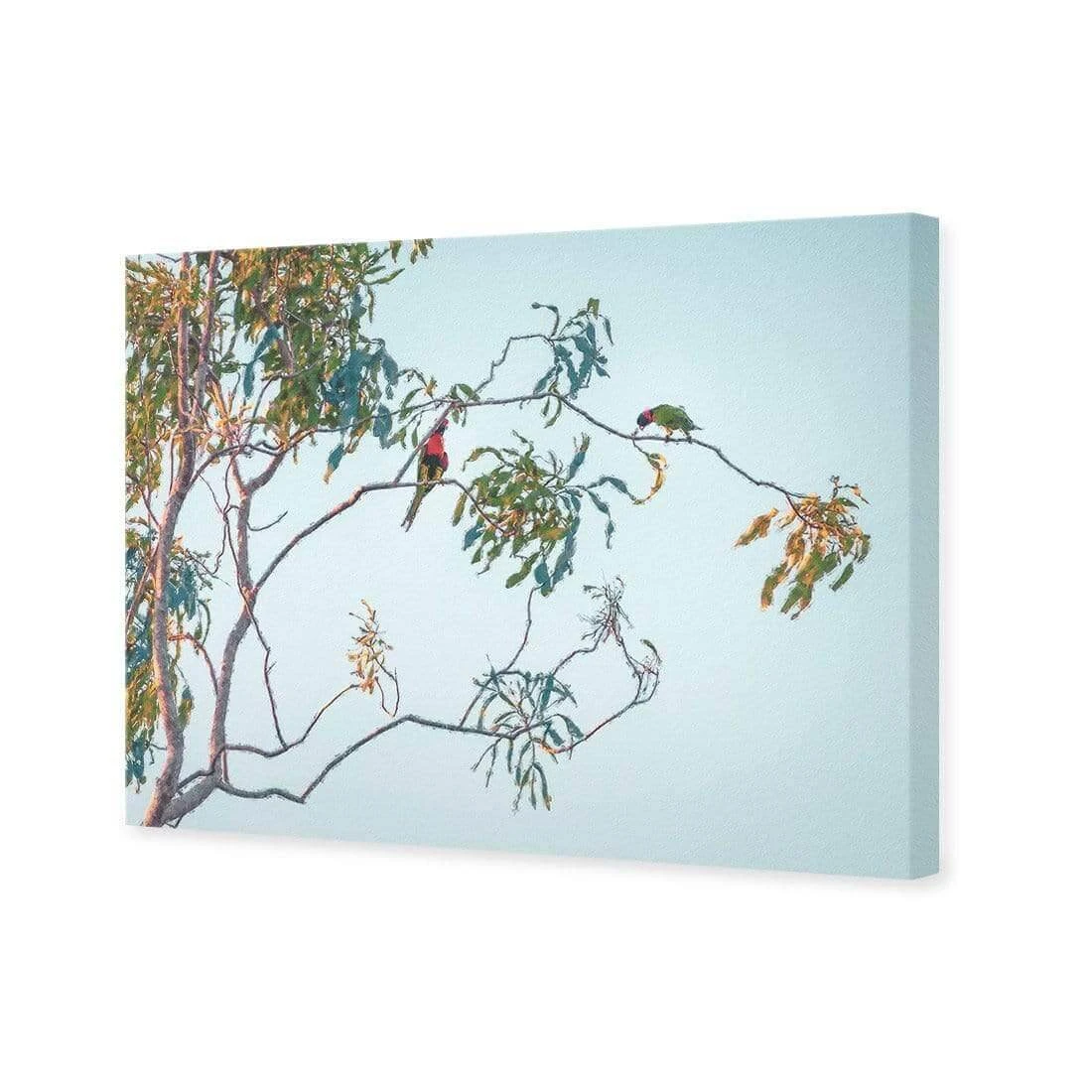 Lunch with Lorikeets Lunch With Lorikeets -WALL ART DESGIN SALE lunch with lorikeets canvas stretched canvas 45x30cm 131783