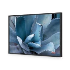 Mexican Succulent 15 Mexican Succulent -WALL ART DESGIN SALE mexican succulent acrylic glass no border black frame 45x30cm 909566