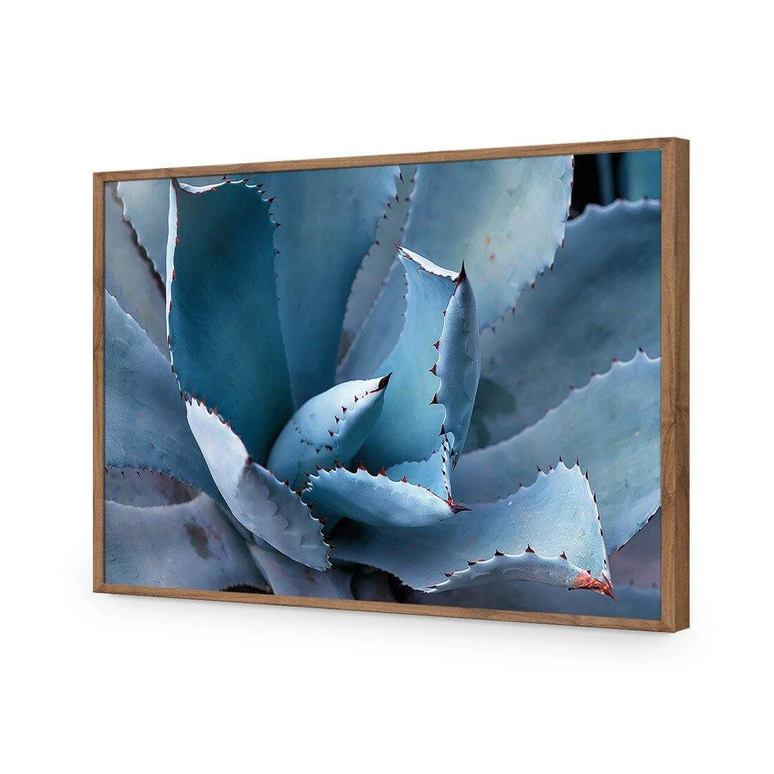 Mexican Succulent Mexican Succulent -WALL ART DESGIN SALE mexican succulent acrylic glass no border natural frame 45x30cm 829099