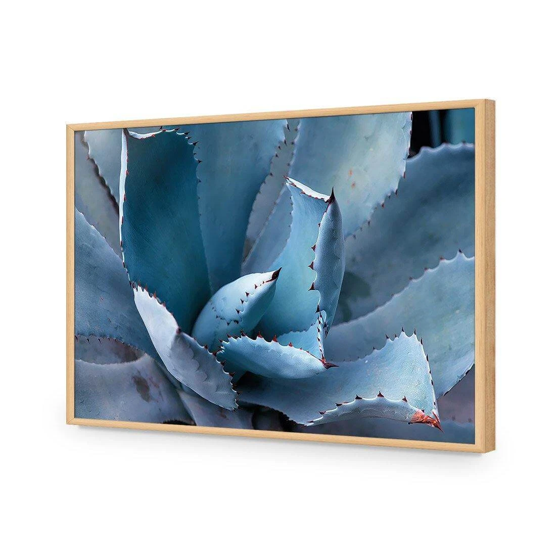 Mexican Succulent Mexican Succulent -WALL ART DESGIN SALE mexican succulent acrylic glass no border oak frame 45x30cm 491174
