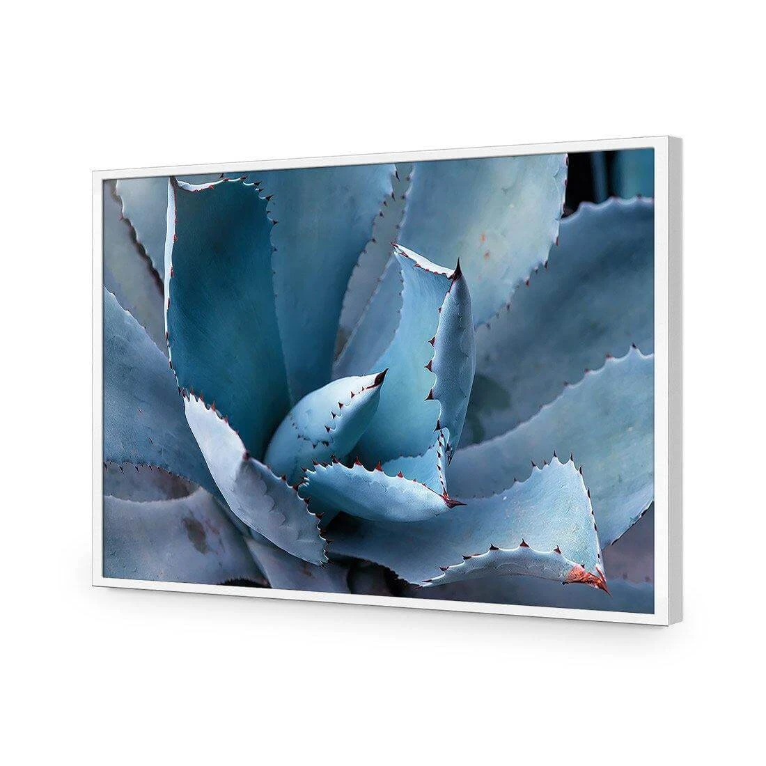 Mexican Succulent Mexican Succulent -WALL ART DESGIN SALE mexican succulent acrylic glass no border white frame 45x30cm 866897