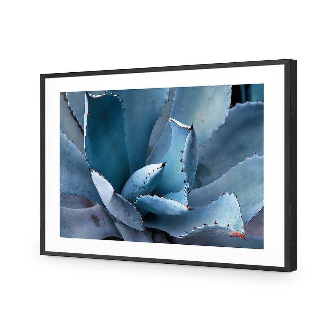 Mexican Succulent Mexican Succulent -WALL ART DESGIN SALE mexican succulent acrylic glass with border black frame 45x30cm 657401