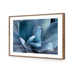 Mexican Succulent 13 Mexican Succulent -WALL ART DESGIN SALE mexican succulent acrylic glass with border natural frame 45x30cm 571727