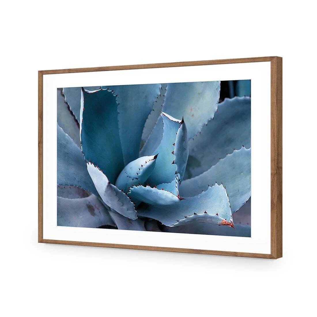 Mexican Succulent Mexican Succulent -WALL ART DESGIN SALE mexican succulent acrylic glass with border natural frame 45x30cm 571727