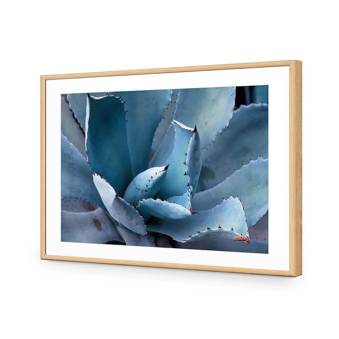 Mexican Succulent Mexican Succulent -WALL ART DESGIN SALE mexican succulent acrylic glass with border oak frame 45x30cm 953902