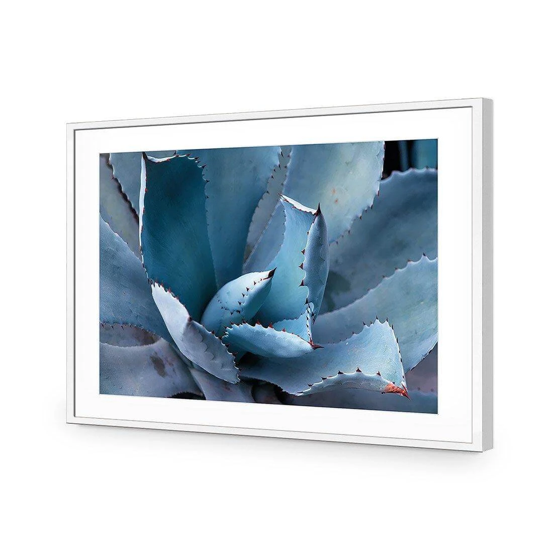 Mexican Succulent Mexican Succulent -WALL ART DESGIN SALE mexican succulent acrylic glass with border white frame 45x30cm 401618