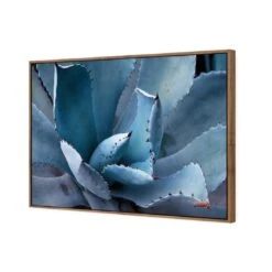 Mexican Succulent 7 Mexican Succulent -WALL ART DESGIN SALE mexican succulent canvas natural floating frame 45x30cm 958862