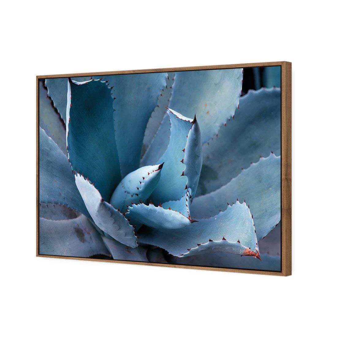 Mexican Succulent Mexican Succulent -WALL ART DESGIN SALE mexican succulent canvas natural floating frame 45x30cm 958862