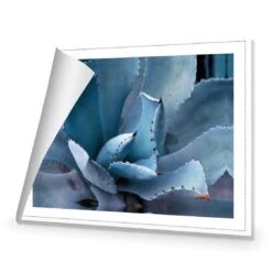 Mexican Succulent 8 Mexican Succulent -WALL ART DESGIN SALE mexican succulent canvas rolled canvas 45x30cm 847267