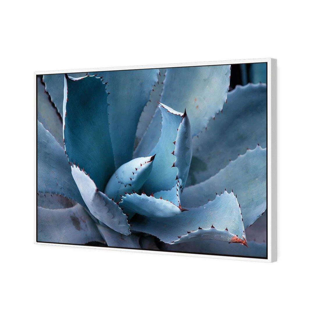 Mexican Succulent Mexican Succulent -WALL ART DESGIN SALE mexican succulent canvas white floating frame 45x30cm 344130