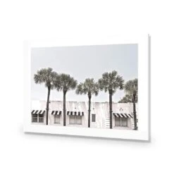 Miami Palms -WALL ART DESGIN SALE miami palms acrylic glass with border no frame 45x30cm 337604