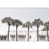 Miami Palms -WALL ART DESGIN SALE miami palms canvas stretched canvas 45x30cm 642856