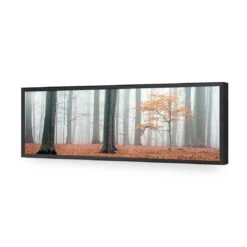 Misty Autumn Forest (Long) -WALL ART DESGIN SALE misty autumn forest long acrylic glass no border black frame 90x30cm 168331