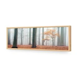 Misty Autumn Forest (Long) -WALL ART DESGIN SALE misty autumn forest long acrylic glass no border oak frame 90x30cm 675328