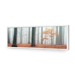 Misty Autumn Forest (Long) -WALL ART DESGIN SALE misty autumn forest long acrylic glass no border white frame 90x30cm 381878
