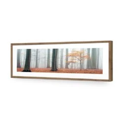 Misty Autumn Forest (Long) -WALL ART DESGIN SALE misty autumn forest long acrylic glass with border natural frame 90x30cm 365835