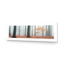 Misty Autumn Forest (Long) -WALL ART DESGIN SALE misty autumn forest long acrylic glass with border no frame 90x30cm 487825