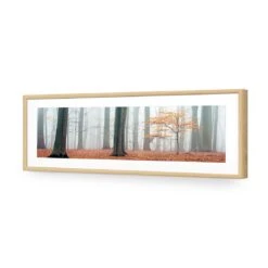 Misty Autumn Forest (Long) -WALL ART DESGIN SALE misty autumn forest long acrylic glass with border oak frame 90x30cm 909150